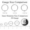 imageFansilver Titanium Nose Rings 20G 18G 16G Nose Ring Hoops ASTM F136 Titanium Septum Rings Helix Cartilage Tragus Lip Rings Piercing Jewelry for Women Men1Pcs Silver Nose Ring